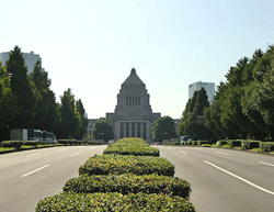 調査・政策提言